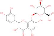 Gossypetin-8-glucuronide