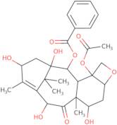 13-Epi-10-deacetyl baccatin III