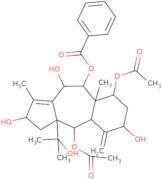 9-Deacetyl-9-benzoyl-10-debenzoyltaxchinin A