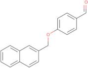 4-(2-Naphthylmethoxy)benzaldehyde