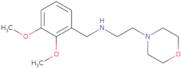 [(2,3-Dimethoxyphenyl)methyl][2-(morpholin-4-yl)ethyl]amine