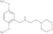 (2,5-Dimethoxy-benzyl)-(2-morpholin-4-yl-ethyl)-amine