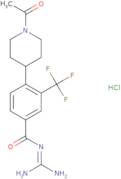 BIX nhe1 inhibitor