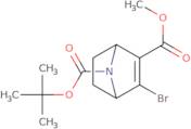 7-tert-Butyl 2-methyl 3-bromo-7-azabicyclo[2.2.1]hept-2-ene-2,7-dicarboxylate