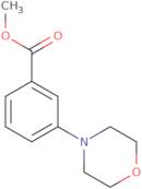 3-Morpholin-4-yl-benzoic acid methyl ester