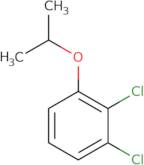 1,2-Dichloro-3-(propan-2-yloxy)benzene