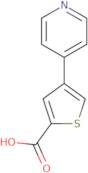 4-(Pyridin-4-yl)thiophene-2-carboxylic acid