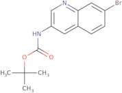 tert-butyl (7-bromoquinolin-3-yl)carbamate