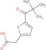 [5-(2,2-Dimethylpropanoyl)-2-thienyl]acetic acid