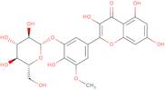 Isorhamnetin-5-O-methyl ether-3-glucoside