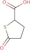 5-Oxotetrahydrothiophene-2-carboxylic acid