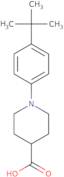 1-(4-(tert-Butyl)phenyl)piperidine-4-carboxylic acid