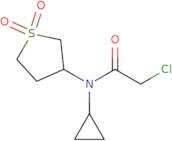 2-Chloro-N-cyclopropyl-N-(1,1-dioxo-1λ6-thiolan-3-yl)acetamide