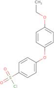 4-(4-Ethoxyphenoxy)benzenesulfonyl chloride