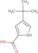 4-tert-Butyl-1H-pyrrole-2-carboxylic acid