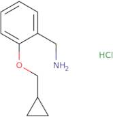 1-[2-(cyclopropylmethoxy)phenyl]methanamine hydrochloride