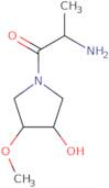 2-Amino-1-(3-hydroxy-4-methoxypyrrolidin-1-yl)propan-1-one
