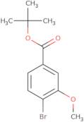 tert-Butyl 4-bromo-3-methoxybenzoate