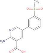 [3-Methoxy-4-(2-methoxyethoxy)phenyl]methanamine