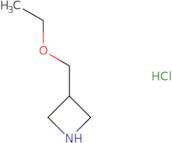 3-(Ethoxymethyl)azetidine hydrochloride