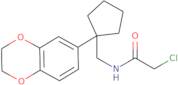 2-Chloro-N-{[1-(2,3-dihydro-1,4-benzodioxin-6-yl)cyclopentyl]methyl}acetamide