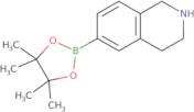 6-(4,4,5,5-Tetramethyl-1,3,2-dioxaborolan-2-yl)-1,2,3,4-tetrahydroisoquinoline