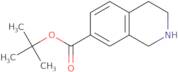 tert-Butyl 1,2,3,4-tetrahydroisoquinoline-7-carboxylate