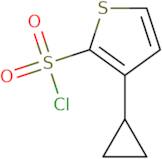 3-Cyclopropylthiophene-2-sulfonyl chloride