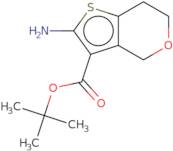 tert-Butyl 2-amino-4H,6H,7H-thieno[3,2-c]pyran-3-carboxylate