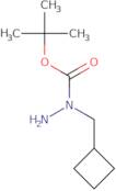 N-(Cyclobutylmethyl)(tert-butoxy)carbohydrazide