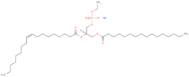 16:0-18:1 Phosphatidylethanol