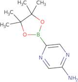 5-Aminopyrazine-2-boronic Acid Pinacol Ester