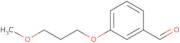 3-(3-Methoxypropoxy)benzaldehyde