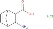 Exo-cis-3-aminobicyclo[2.2.1]hept-5-ene-2-carboxylic acid hydrochloride