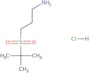 3-(2-Methylpropane-2-sulfonyl)propan-1-amine hydrochloride