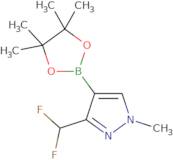 3-(Difluoromethyl)-1-methyl-4-(4,4,5,5-tetramethyl-1,3,2-dioxaborolan-2-yl)-1H-pyrazole