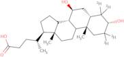 Ursodeoxycholic acid-D4