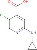 5-Chloro-2-(cyclopropylamino)pyridine-4-carboxylic acid