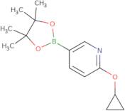 2-Cyclopropyloxy-5-(4,4,5,5-tetramethyl-1,3,2-dioxaborolan-2-yl)pyridine