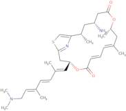 Pateamine A