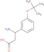 3-Amino-3-(3-tert-butoxyphenyl)propanoic acid