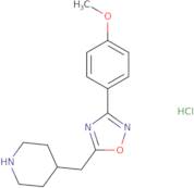 4-{[3-(4-Methoxyphenyl)-1,2,4-oxadiazol-5-yl]methyl}piperidine hydrochloride