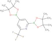 6-Trifluoromethylpyridine-2,4-diboronic acid, pinacol ester