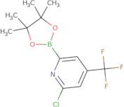 2-Chloro-4-(trifluoromethyl)pyridine-2-boronic acid pinacol ester