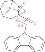 rac-(1R,2S,4R,6S)-9-{[(9H-Fluoren-9-yl)methoxy]carbonyl}-9-azatricyclo[4.2.1.0,2,4]nonane-4-carbox…
