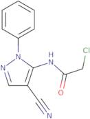 2-Chloro-N-(4-cyano-1-phenyl-1H-pyrazol-5-yl)acetamide