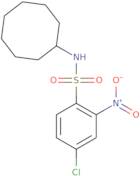 ((4-chloro-2-nitrophenyl)sulfonyl)cyclooctylamine