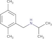 [(2,5-Dimethylphenyl)methyl](propan-2-yl)amine