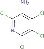 3-Amino-2,4,5,6-tetrachloropyridine