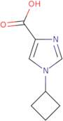 1-Cyclobutyl-1H-imidazole-4-carboxylic acid